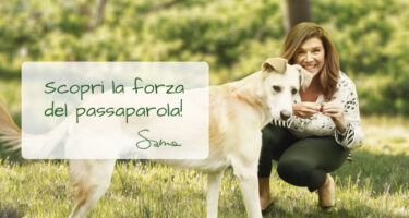 Scopri la forza del passaparola